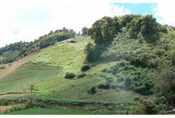 Finca/Hacienda en  Capira