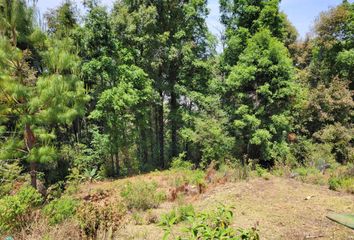 Lote de Terreno en  Mineral Del Chico, Hidalgo