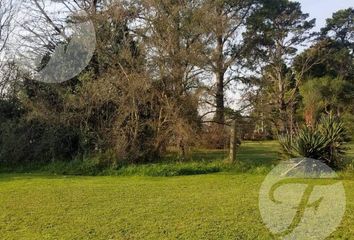 Terrenos en  San Miguel Del Monte, Partido De Monte