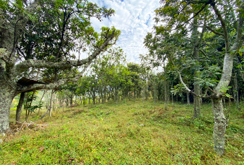 Terreno Comercial en  Vilcabamba (victoria), Loja