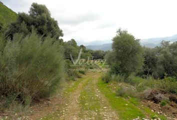 Chalet en  Genalguacil, Málaga Provincia