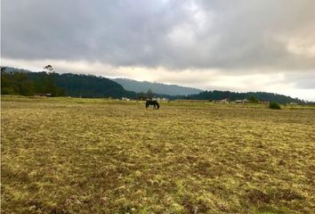 Lote de Terreno en  Avándaro, Valle De Bravo