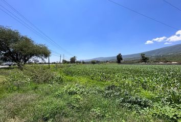 Lote de Terreno en  Calle Ingeniero Pedro Guerrero, Cuexcomatitlán, Tlajomulco De Zúñiga, Jalisco, 45664, Mex