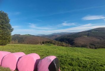 Terreno en  Tapia De Casariego, Asturias