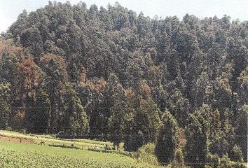 Lote de Terreno en  Temascaltepec, Estado De México