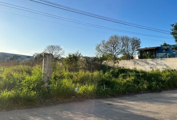 Lote de Terreno en  Santa Gertrudis Copo, Mérida, Yucatán