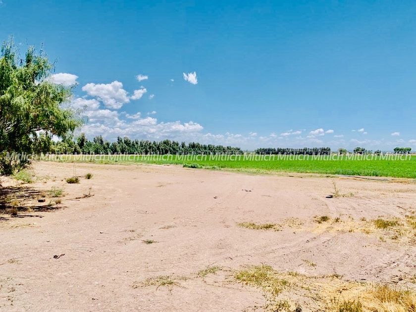 venta Rancho en Sector Norte, Delicias (29879308) icasas.mx