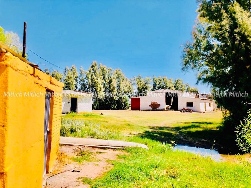 venta Rancho en Sector Norte, Delicias (29879308) icasas.mx