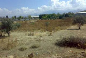 Terreno en  Alhendin, Granada Provincia