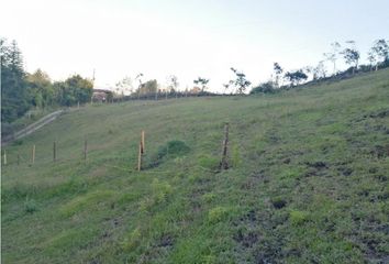 Lote de Terreno en  Guarne, Antioquia