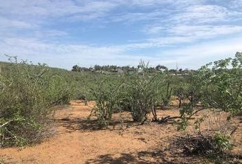 Lote de Terreno en  El Pescadero, La Paz