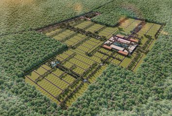 Lote de Terreno en  Dzidzantún, Yucatán