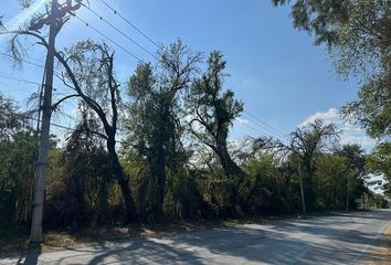 Lote de Terreno en  Montemorelos Centro, Montemorelos