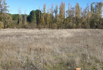 Terreno en  Aldeamayor De San Martin, Valladolid Provincia