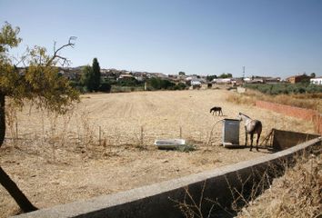 Terreno en  Usagre, Badajoz Provincia