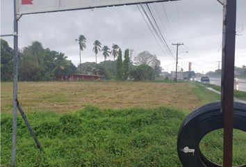 Lotes y Terrenos en  Palmas De Gorgona, Chame