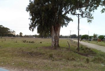 Terrenos en  Sierra De Los Padres, General Pueyrredón