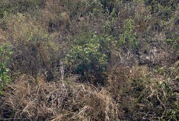 Lote de Terreno en  Yaxkukul, Yucatán