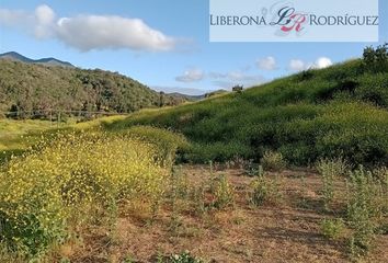 Parcela en  Limache, Quillota