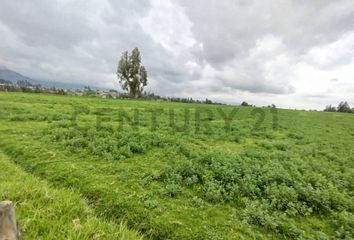 Terreno Comercial en  Belisario Quevedo (guanailín), Latacunga