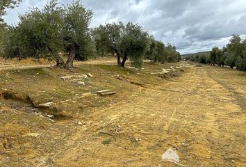 Terreno en  Ibros, Jaén Provincia