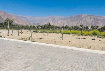 Terrenos en  Cafayate, Salta