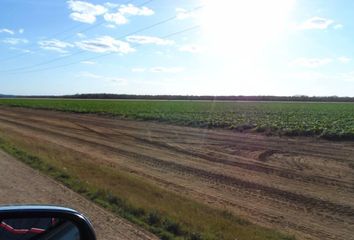 Lote de Terreno en  Escuela Felipe Carrillo Puerto, Becanchen, Tekax, Yucatán, 97984, Mex