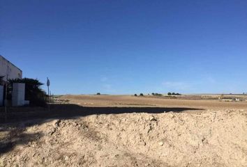 Terreno en  Trebujena, Cádiz Provincia