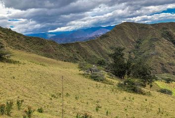 Terreno Comercial en  Malacatos (valladolid), Loja