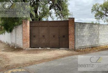 Lote de Terreno en  Los Viñedos, Zempoala