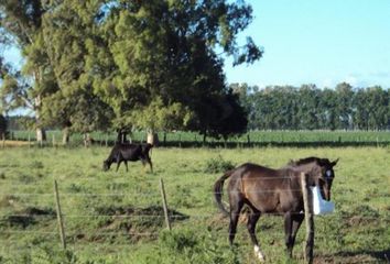 Terrenos en  Luján, Partido De Luján