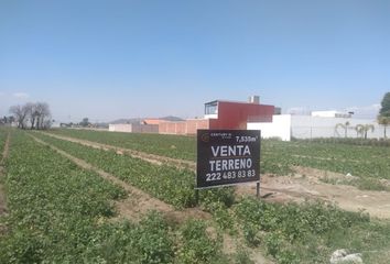 Lote de Terreno en  Centro, San Andrés Cholula