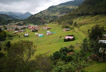 Lote de Terreno en  Carrera 13 4 08, Silvia, Cauca, Col