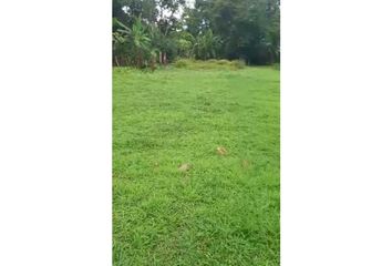 Lotes y Terrenos en  Santa Cruz, San Felix, Chiriquí, Pan