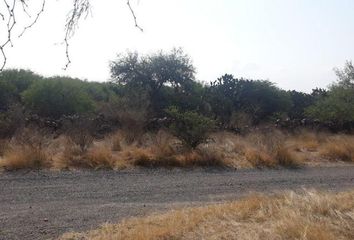 Lote de Terreno en  Rancho O Rancheria La Granjita, Jesús María, Aguascalientes