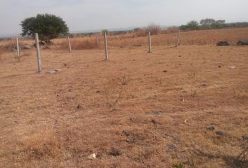 Lote de Terreno en  Tezoyuca, Emiliano Zapata, Morelos