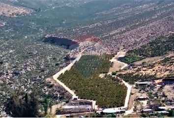 Parcela en  Monte Patria, Limarí