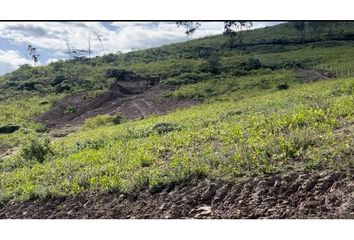 Terreno Comercial en  San Miguel De Ibarra