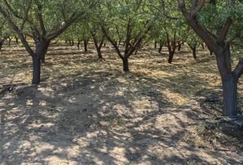 Parcela en  Buin, Maipo