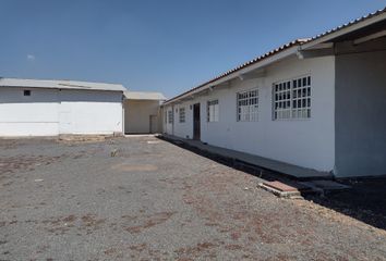 Nave en  Agustín Gómez, Santa Cruz, Irapuato, Guanajuato, 36810, Mex