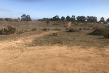 Parcela en  Algarrobo, San Antonio