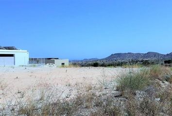 Terreno en  Monforte Del Cid, Alicante Provincia