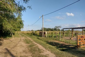 Terrenos en  Colonia Benitez, Chaco