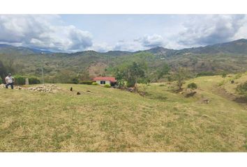 Lote de Terreno en  Anatolí, La Mesa