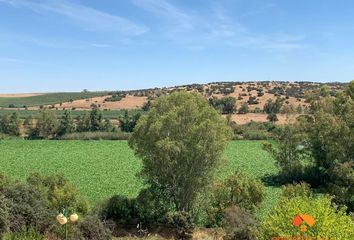 Terreno en  Merida, Badajoz Provincia