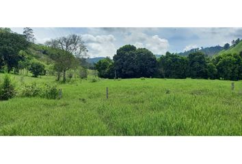 Lote de Terreno en  Marquetalia, Caldas