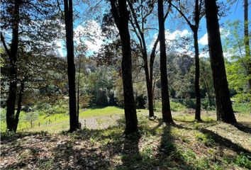 Lote de Terreno en  Avándaro, Valle De Bravo