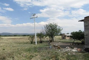 Rancho en  Carretera Guadalajara-jerez, Jerez, Zacatecas, Mex