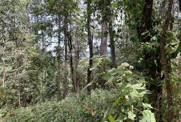 Lote de Terreno en  Avándaro, Valle De Bravo