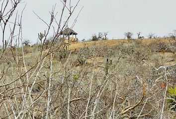 Lote de Terreno en  Los Cabos, Baja California Sur, Mex